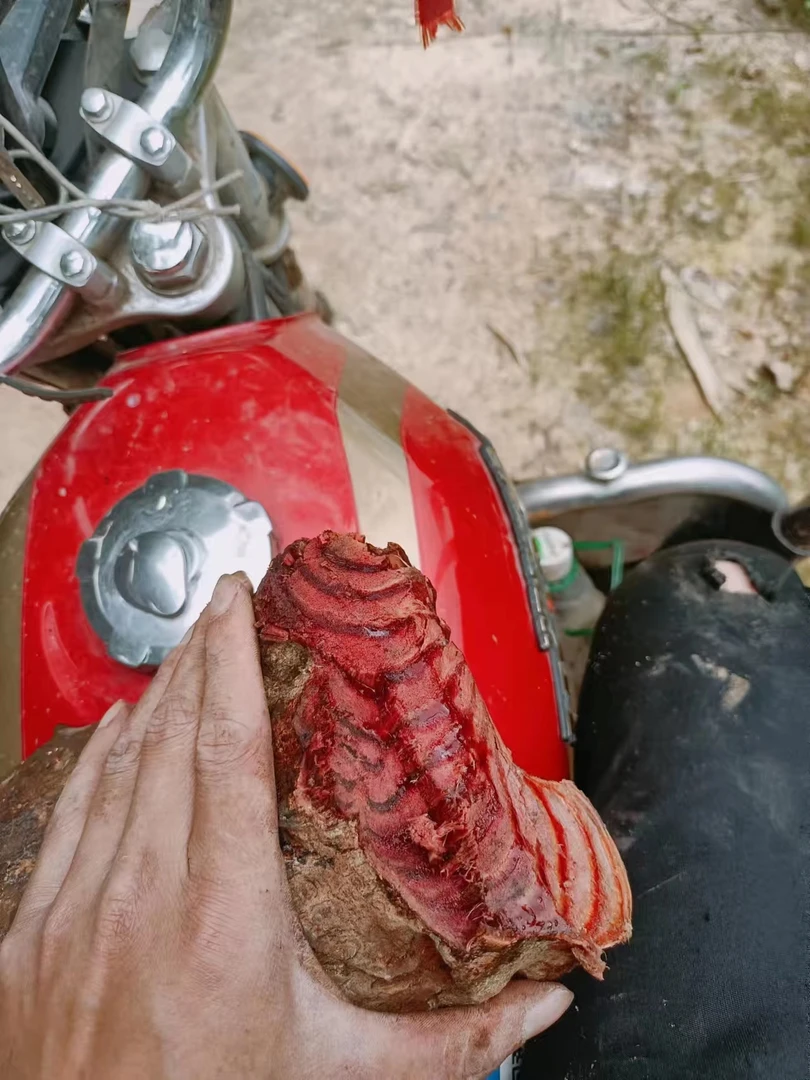 血风藤鸡血藤深山现挖500克