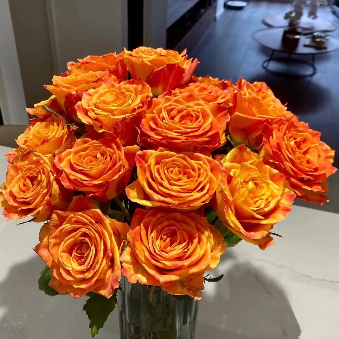 欢乐颂单头玫瑰橙色系鲜花