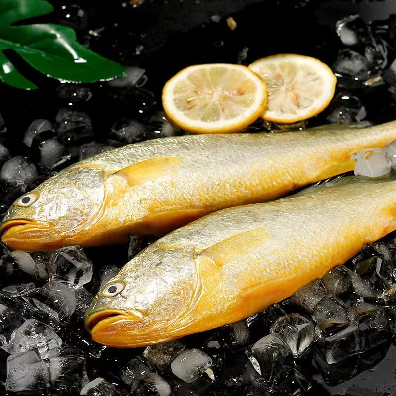 【达吾海鲜】精选深海大黄花鱼3条