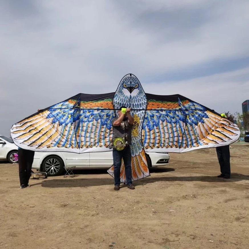 【新疆包邮】成人大型高档大风筝微风易飞前撑杆老鹰风筝成人简单