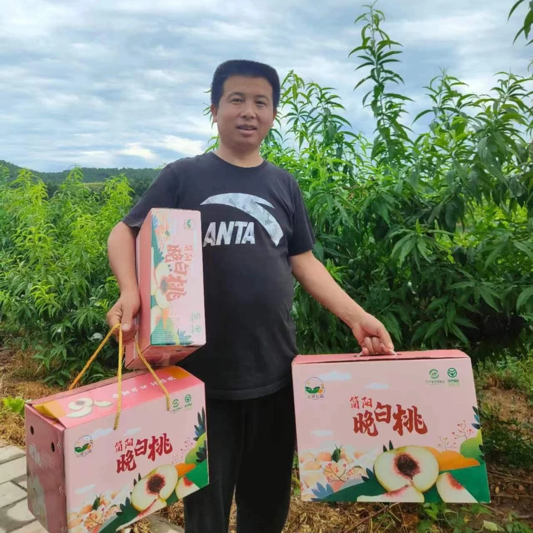 简阳晚白桃每天现摘现发特大果6两9个礼盒装净重3kg孕妇儿童可食