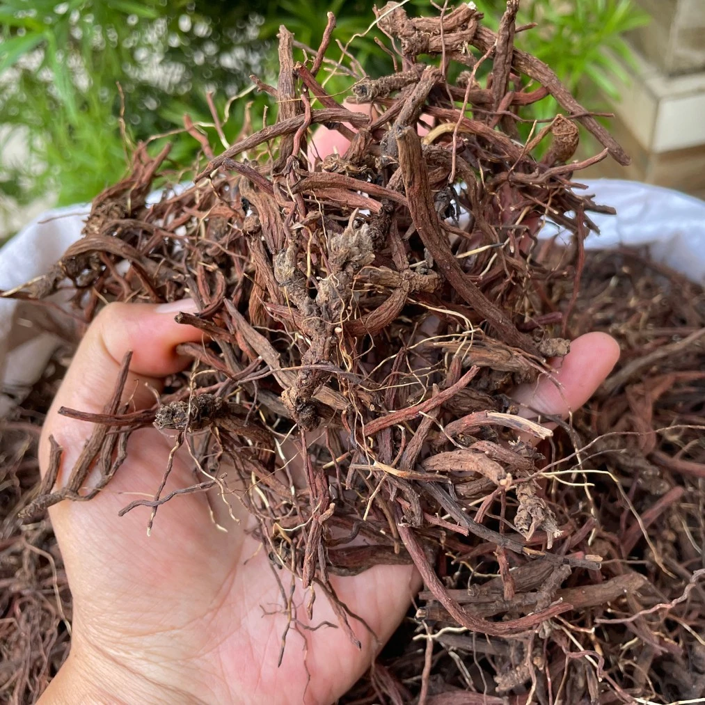 -云南 野生丹参 250/500g