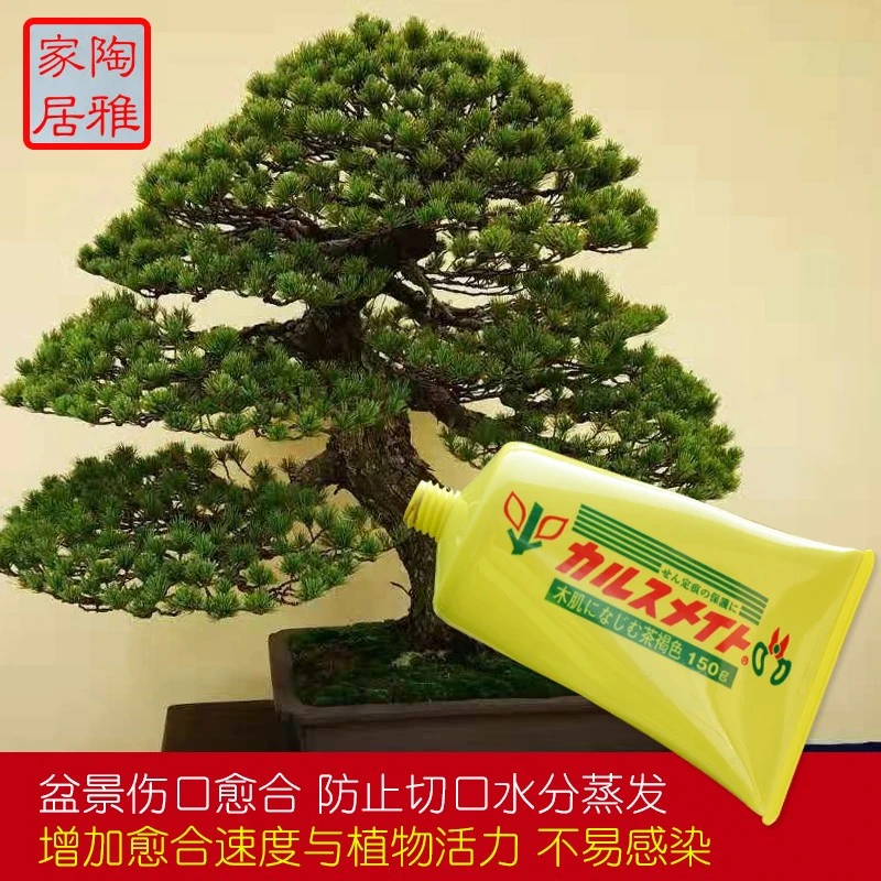 日本富士盆景树桩愈合剂泥保护松柏杂木伤切口愈合杀菌防虫涂抹剂