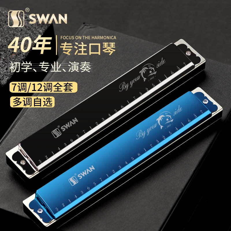 口琴初学者学生成人儿童入门24孔复音C调女专业演奏级全套乐器