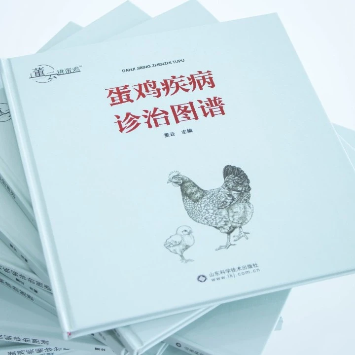 蛋鸡疾病诊治图谱农业养殖
