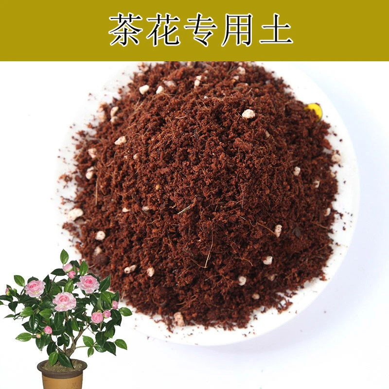 喜欢种茶花的可以直接用这种茶花专用土