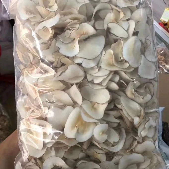 ［食客蓉姐］海底椰100g-1000g