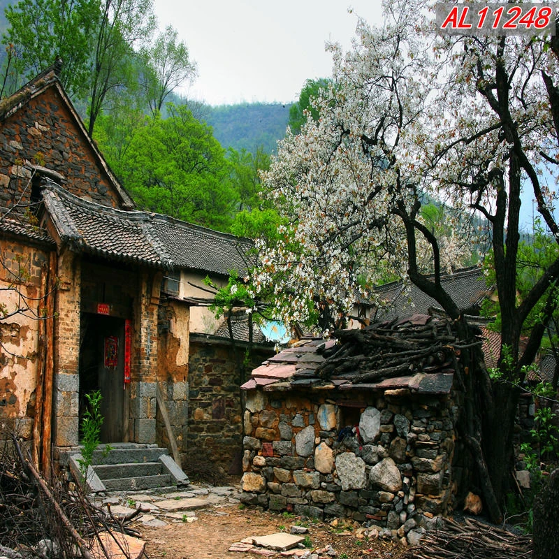 【热卖】主直间背景布农村砖房田园户外景网红视频装饰墙