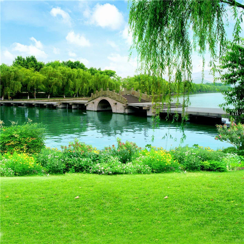 【热卖】外景网红网红背景布主3d直背景墙风景视频直间