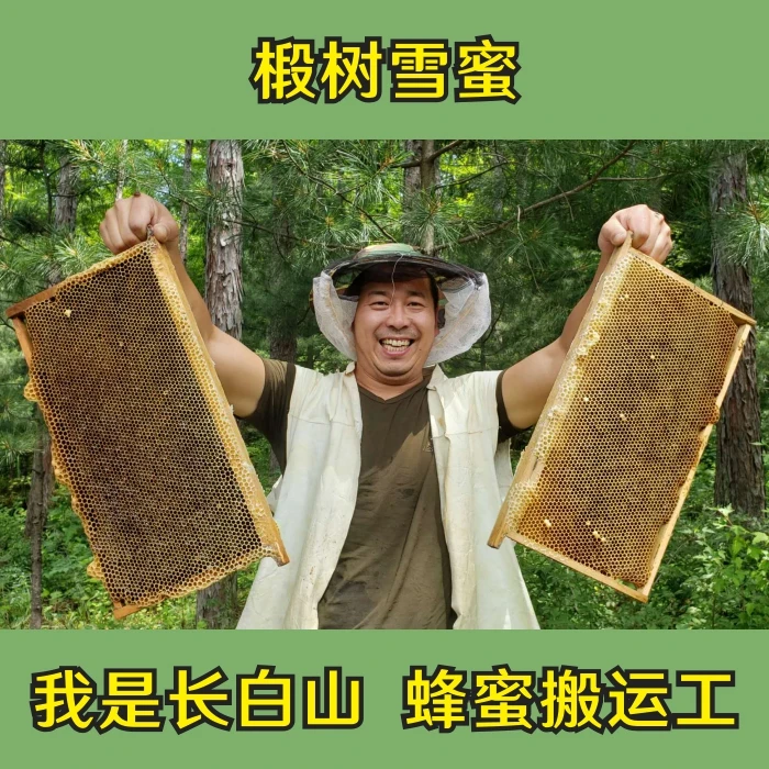 长白山天然黑蜂椴树雪蜜关东大海哥椴树雪蜜每瓶500克，清香细腻