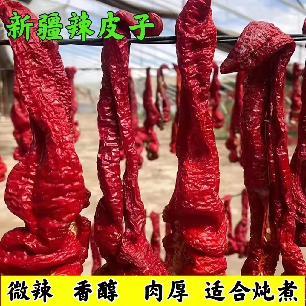 新疆大盘鸡辣皮子干辣椒焉耆辣皮子安集海辣皮子新疆直发