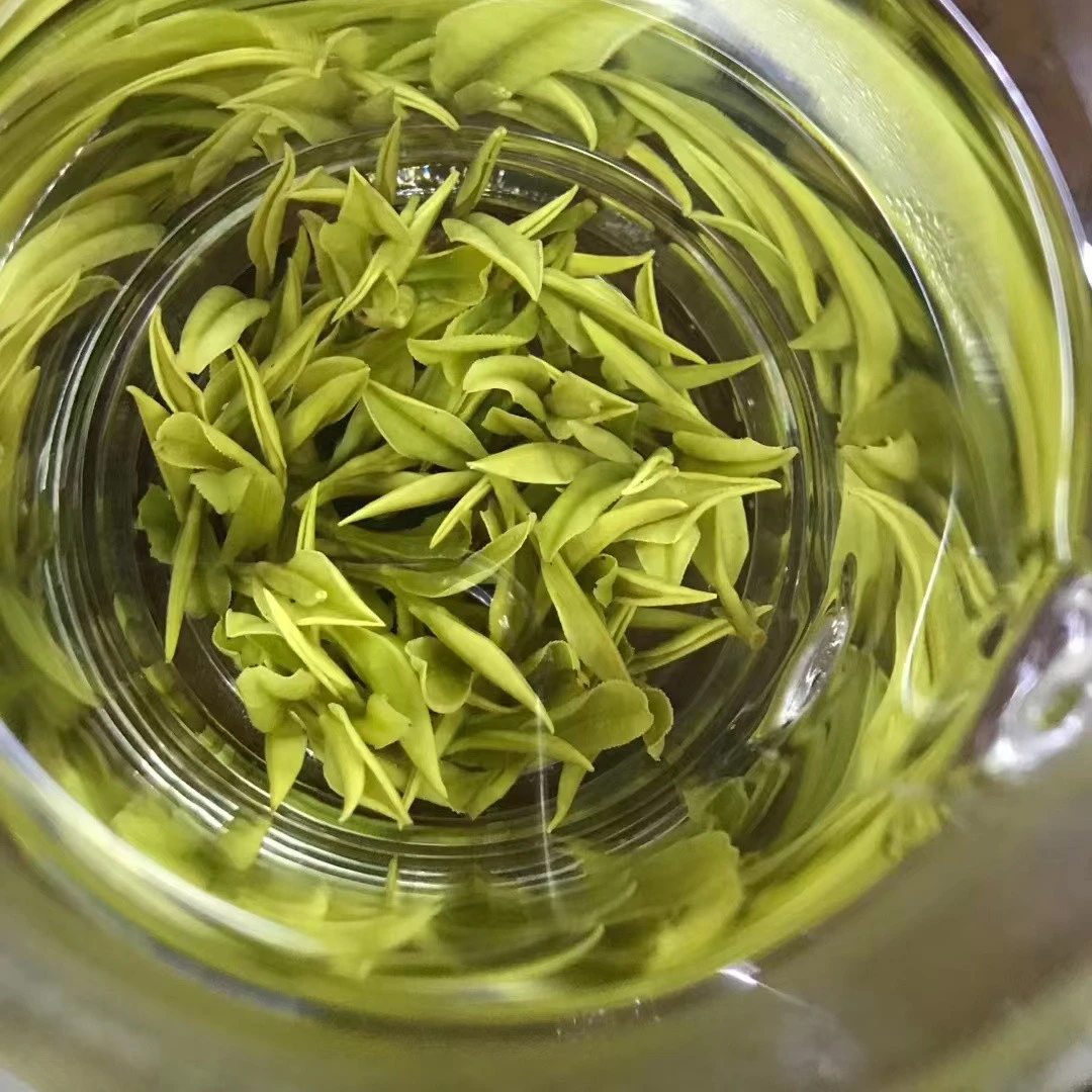 赣南特产宁都小布绿茶白化茶（白茶）散茶50g袋子装
