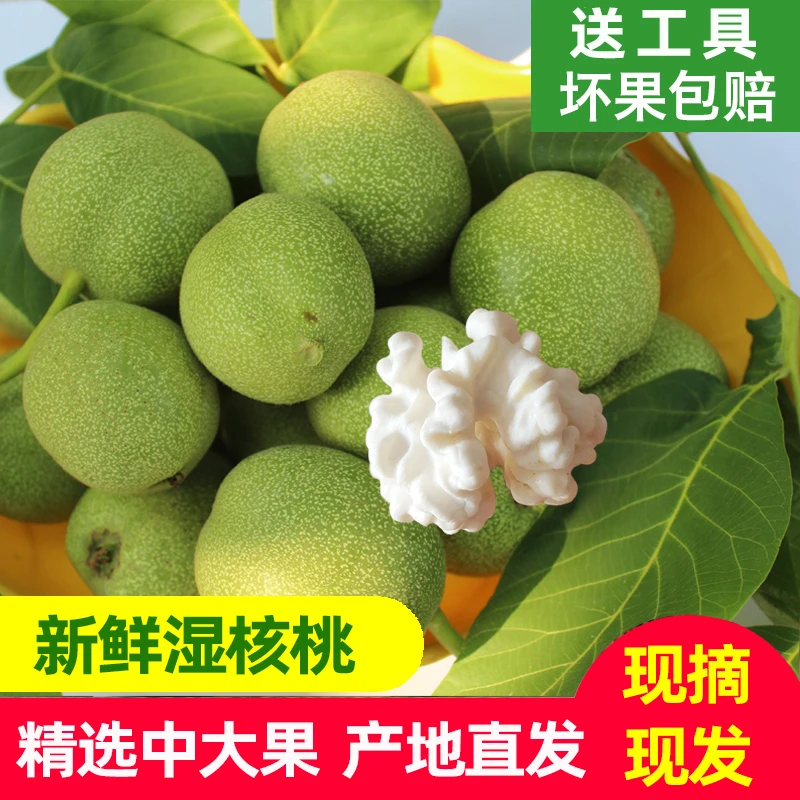 2024青皮核桃新鲜 带绿皮鲜核桃礼品2号大果湿原味嫩生核桃5斤