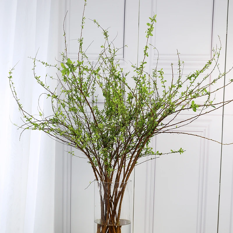 【天堂鸟旗舰店】A级 雪柳鲜花真花垂感枝条水培插花云南基地直发