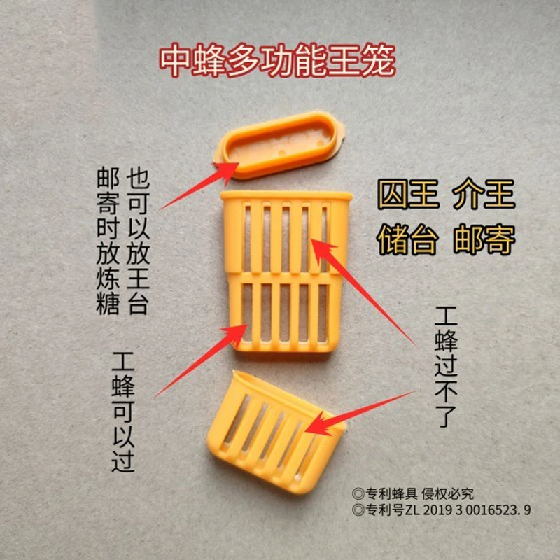 中蜂专用王笼多功能塑料防逃工具蜜蜂囚王笼装蜂王储扣王笼关王器