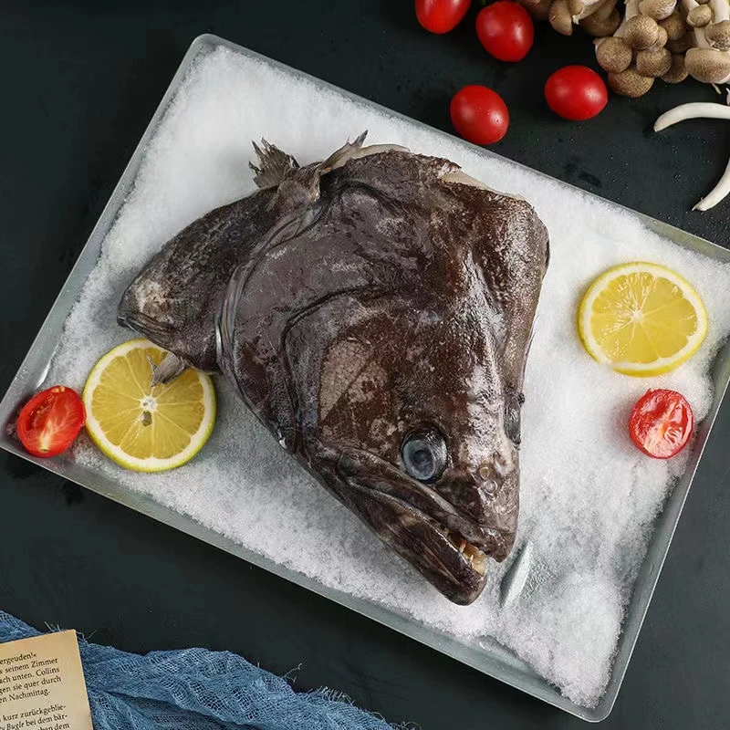 无冰衣鲽鱼头大比目鱼头鲽鱼头鸦片鱼头超大鲽鱼头深海鲽鱼头