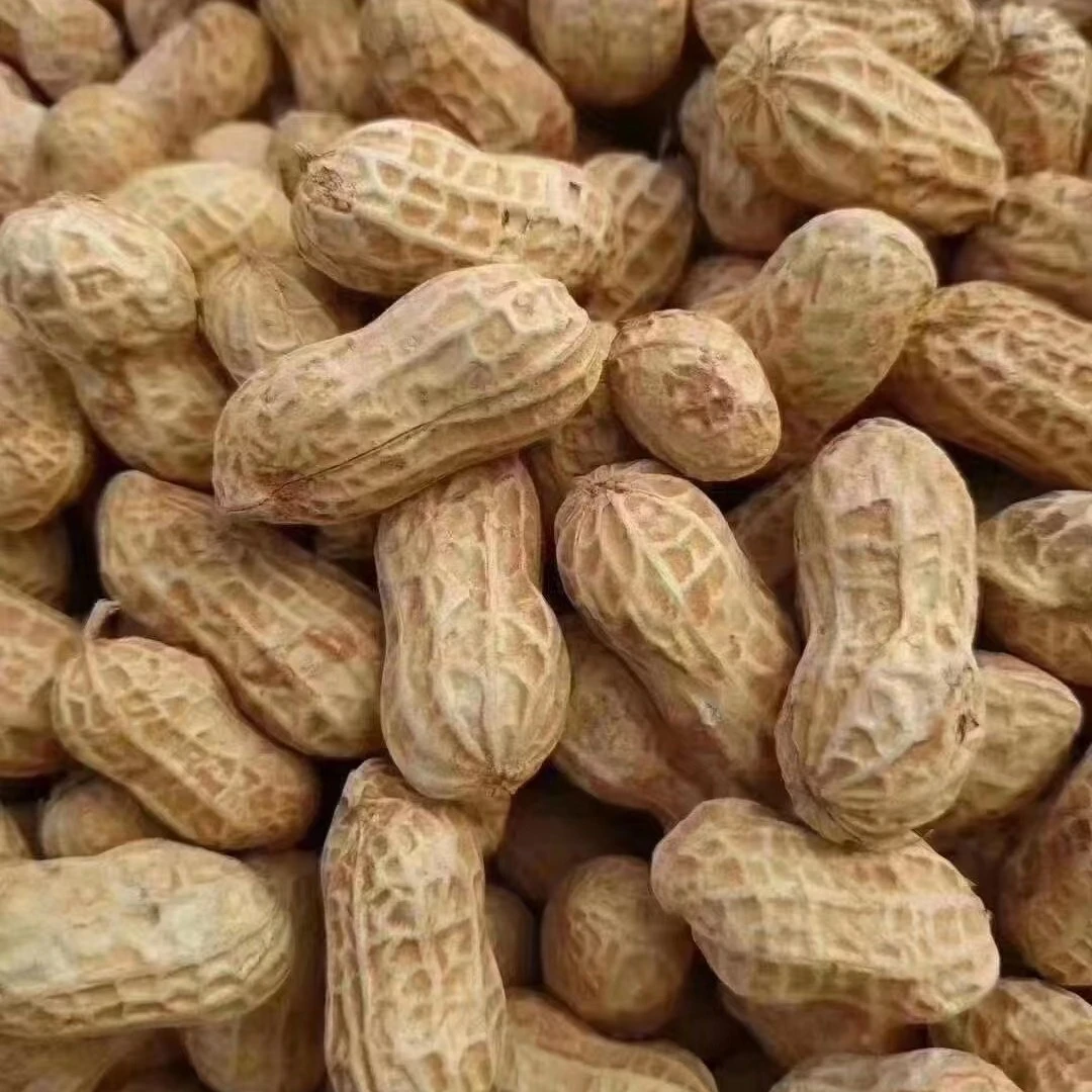 2025年新高山黄土花生 ，5斤一袋水煮白晒，酥脆好吃不上火农产品