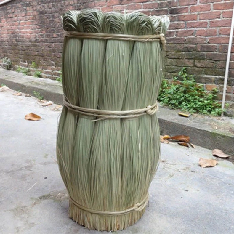 大闸蟹香草 咸水草 捆蟹绳香草马莲草 扎粽子香草 绑大闸蟹香草