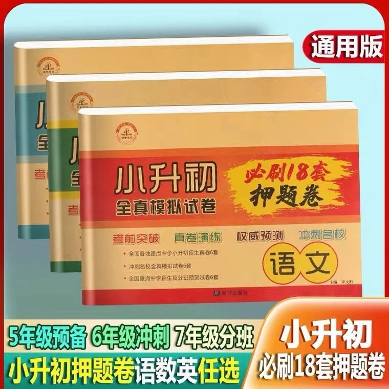 2024小升初测试卷六年级下册试卷全套语文数学英语总复习模拟试卷