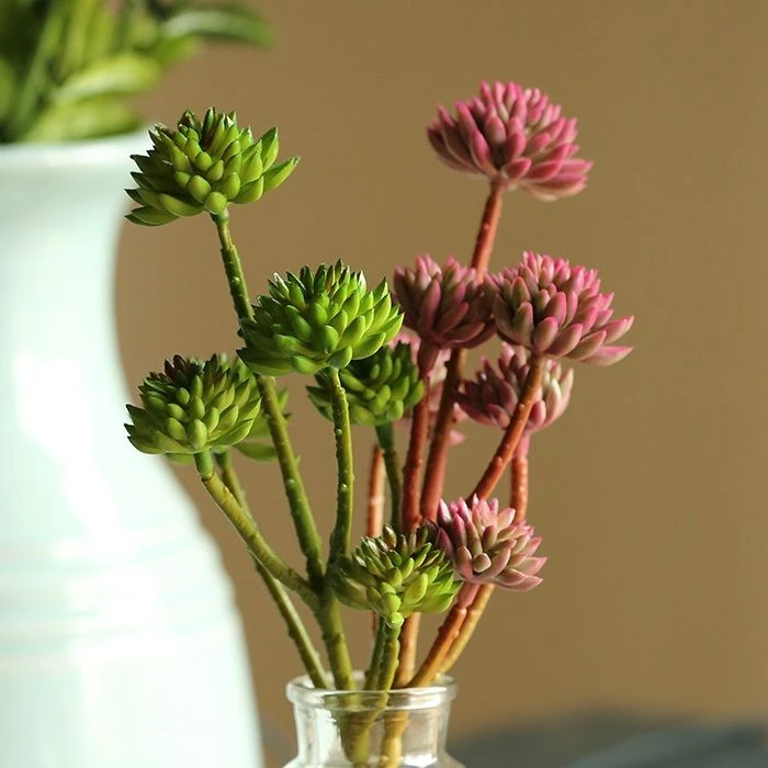 掬涵仿真多肉植物石竹装饰摆件北欧客厅花簇花束绿植造景插花假花