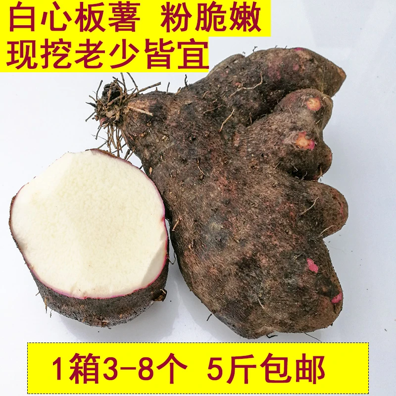 白心薯子现挖新鲜白山药脚板薯粉糯大薯毛薯紫山药江西赣南5斤