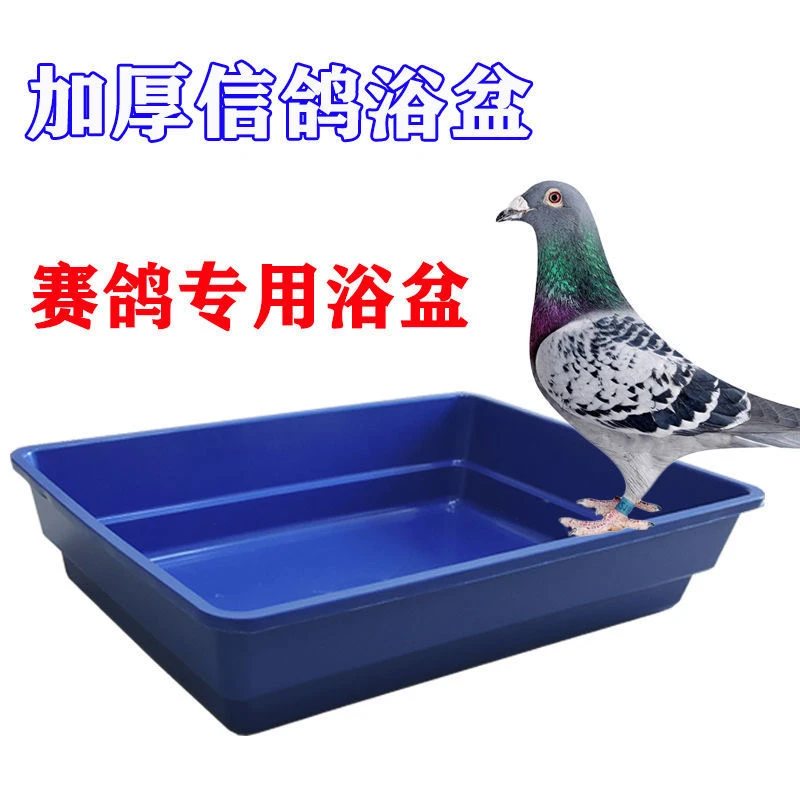 信鸽用品用具鸽子洗澡盆鸽子浴盆加厚鸽子浴盆