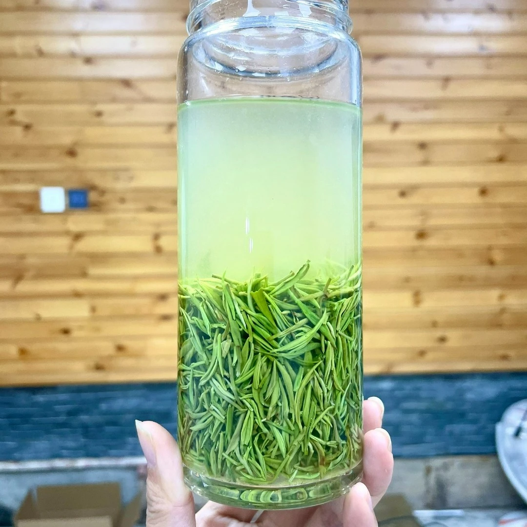 2024新茶 A12（老旱茶）小芽 信阳发货高山老茶树茶叶绿茶
