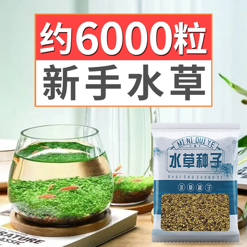 水草种籽碗莲种子水草泥微景观鱼缸造景活体鱼草真草水生水藻植物