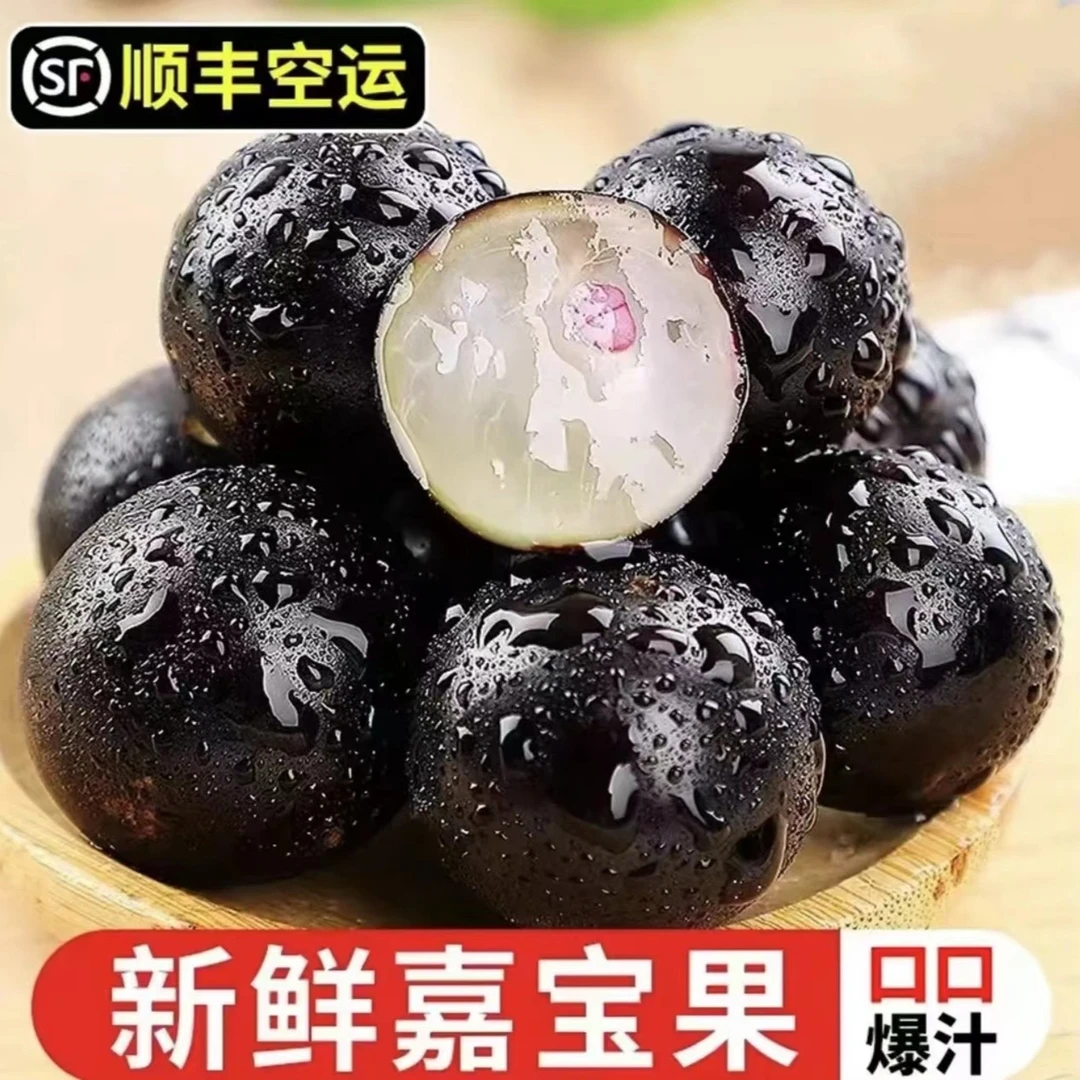 顺丰空运新鲜采摘嘉宝果稀有水果酸甜多汁