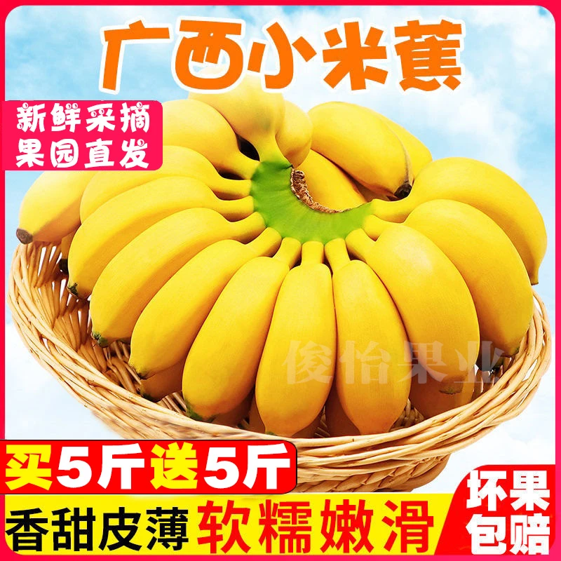 正宗广西小米蕉10斤香甜软糯非苹果蕉西贡蕉粉蕉香蕉当季新鲜水果