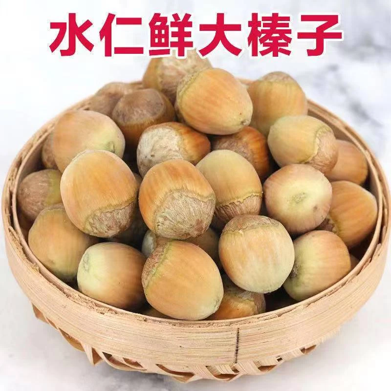榛将军东北鲜果大榛子东北特产   5斤带夹子