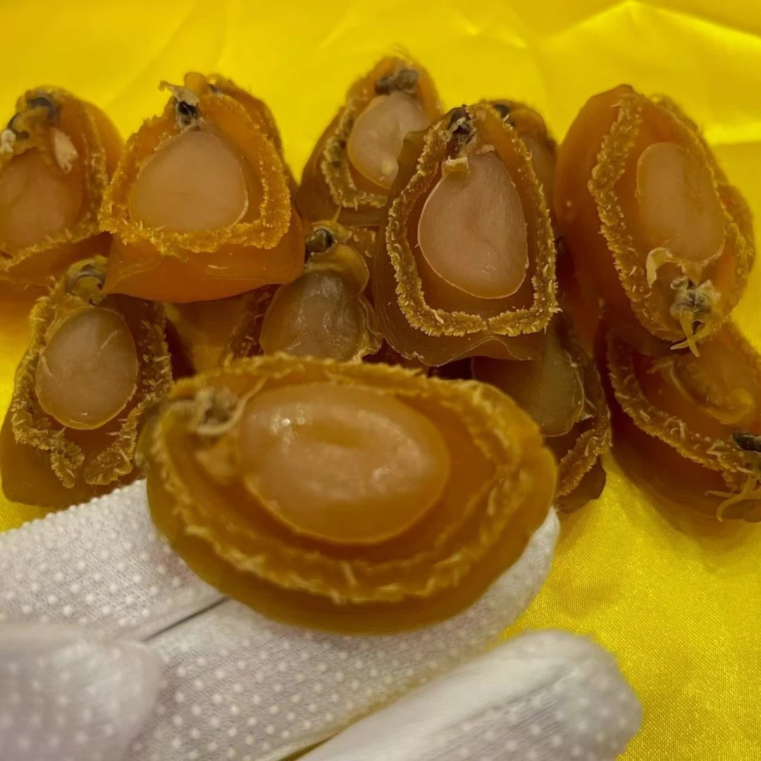 40头 大连 黄金鲍鱼 250g-500g