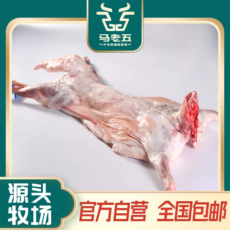 【亚非花卉】宁夏滩羊整羊26斤起整扇/精分割60%腿排无膻味