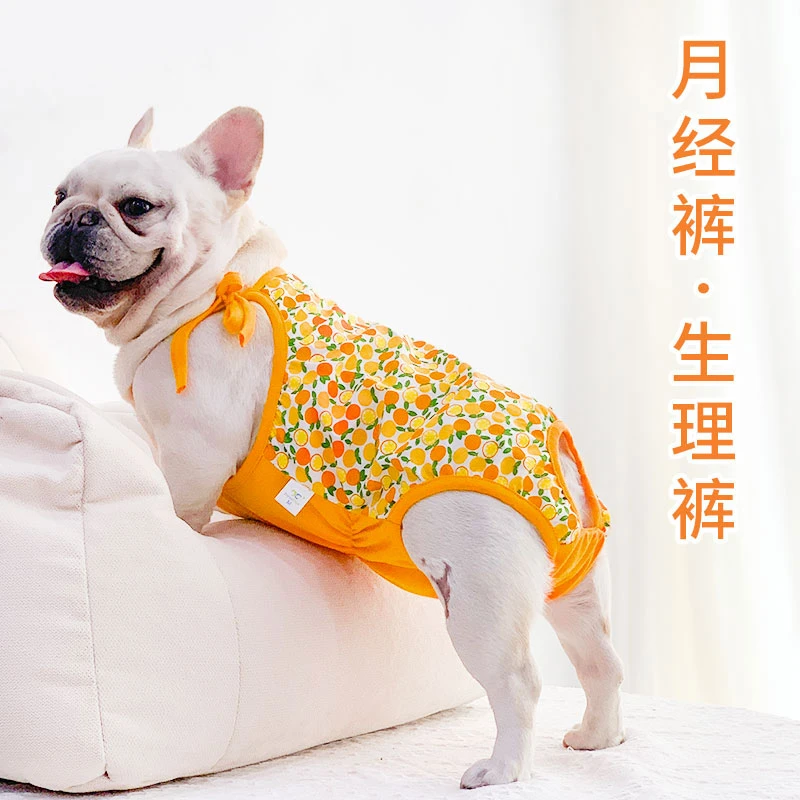 法斗狗狗生理裤月经裤母狗斗牛犬女卫生巾宠物经期姨妈裤吊带背心
