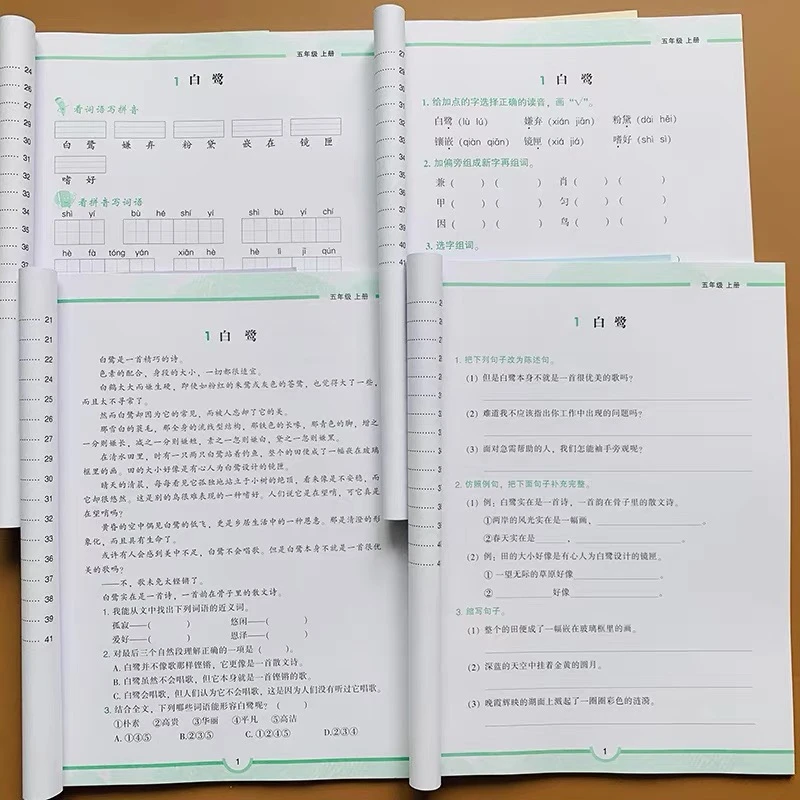 五年级上册语文配套练习人教版看拼音写词语字词句子训练阅读理解