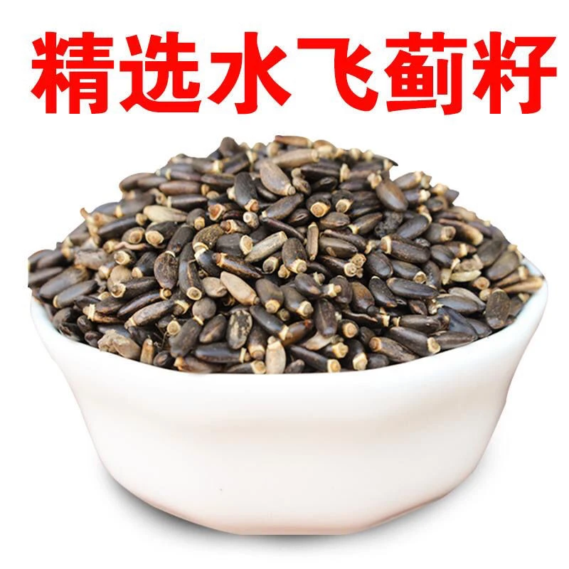 新货水飞蓟籽精选优质水飞蓟奶蓟水好货飞蓟特产农产品包邮