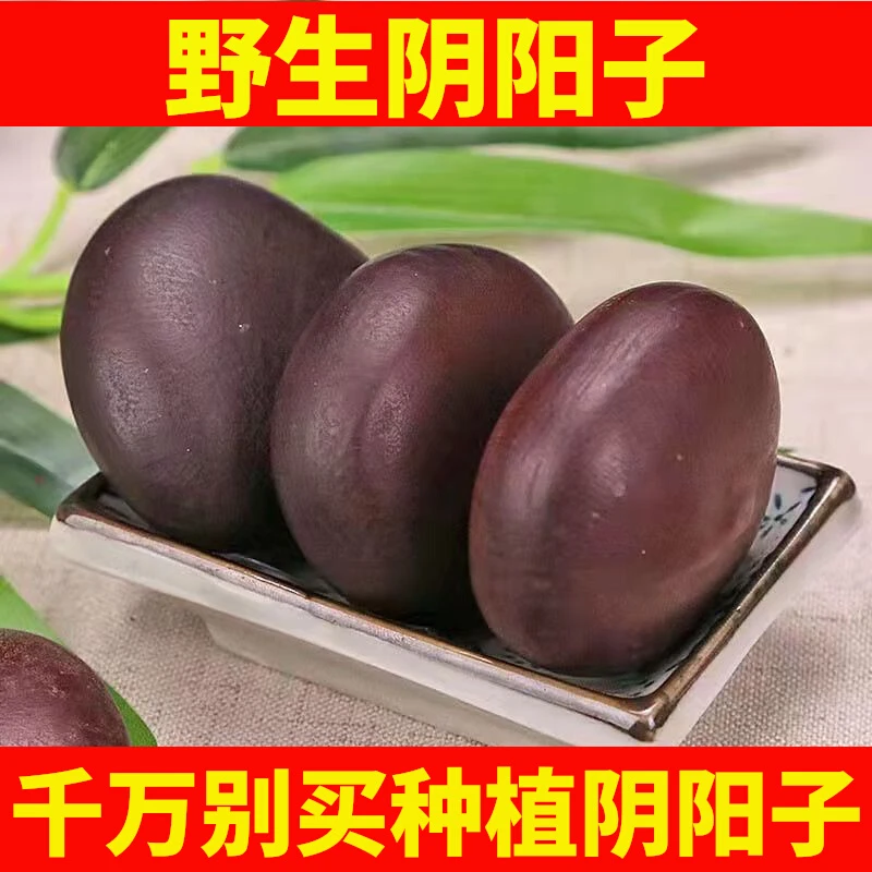 野生阴阳子精选深山木腰子搭配双肾子泡水食材半斤包邮农产品