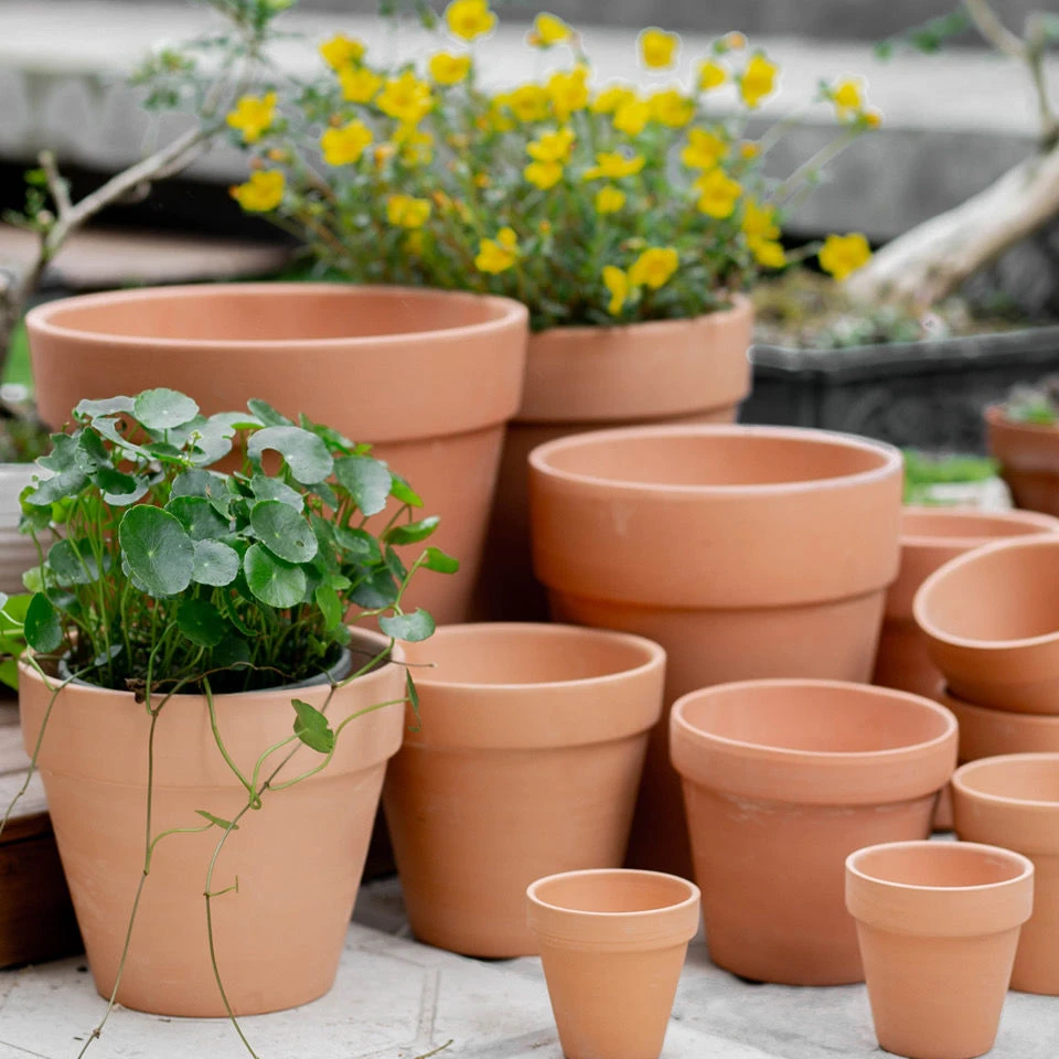 红陶花盆透气粗陶花盆多肉花盆小植物育苗绿植盆栽陶瓷花盆带托盘