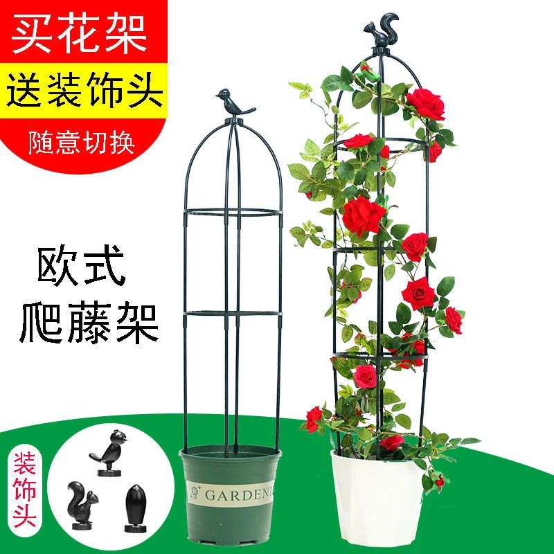 月季蔷薇花架爬藤架包塑绿植爬山虎花支架院子植物攀爬藤架子阳台