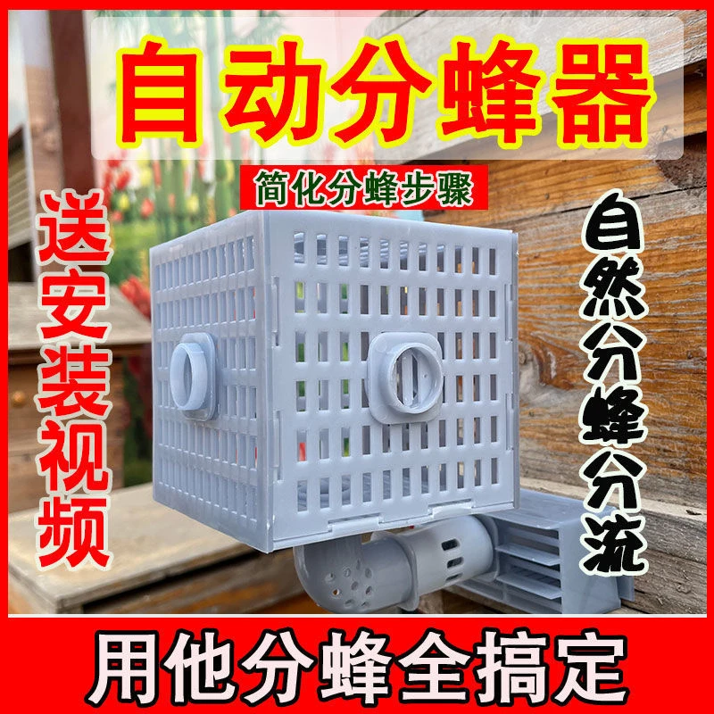 自动收分蜂神器全自动王分蜂器中蜂导王管隔王片多功能自动分蜂器