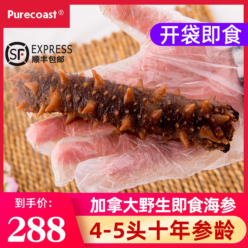 Pure Coast加拿大海参美国红参阿拉斯加红刺参即食海参500g