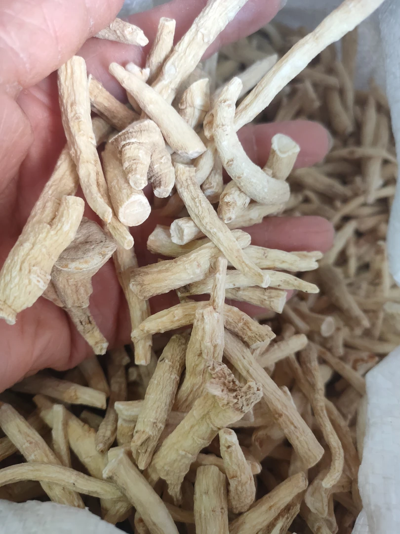 长白山优软支西洋参腿