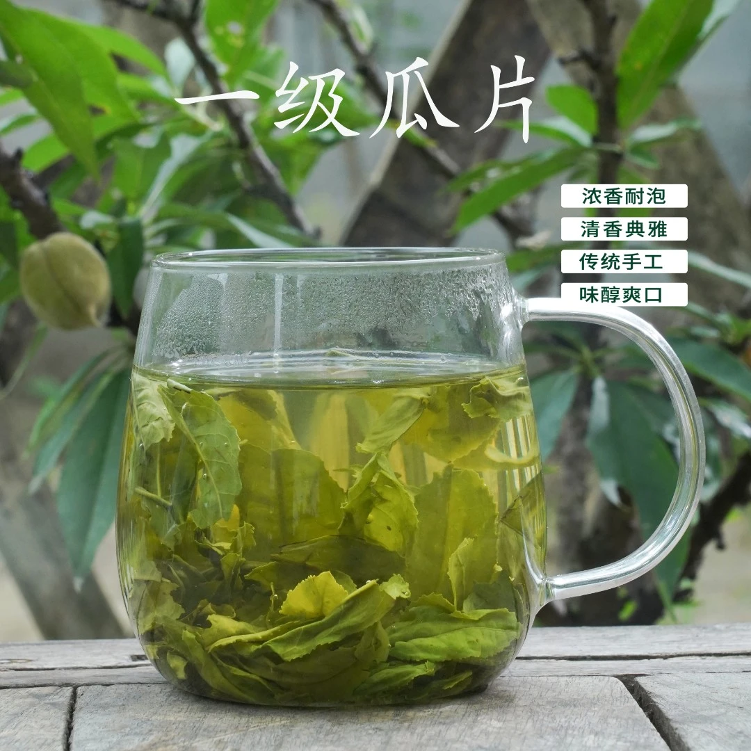 [邹爷爷]2024年群体种老笨茶 六安瓜片雨前一级浓郁耐泡250g/500g