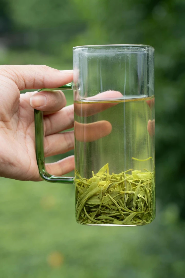 明前特级2025年春季汤湖狗牯脑茶高山无污染天然绿茶500g
