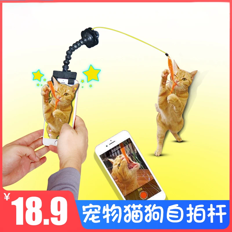 【猫狗自拍杆】猫咪狗狗看镜头抓拍自拍拍照神器宠物用品玩具