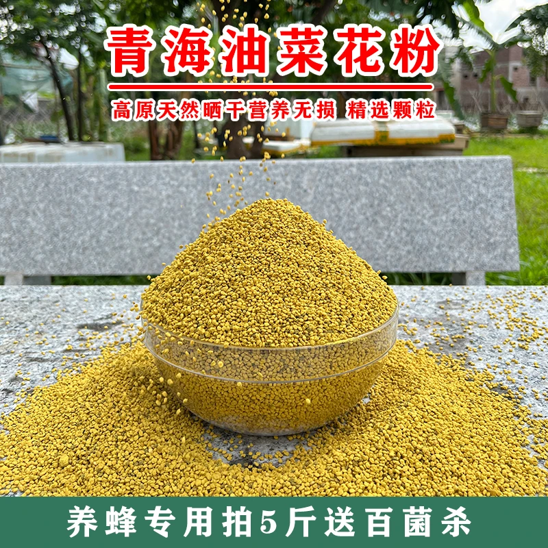 蜜蜂花粉青海油菜花粉原颗粒喂蜂专用中蜂花粉蜂粮1斤装正品包邮