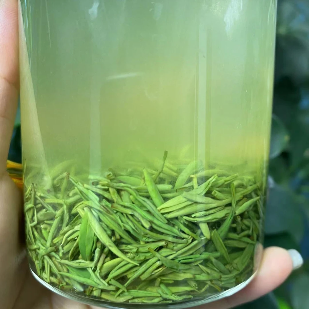 2024信阳毛尖明前小芽125g250g500g茶叶鲜嫩生态