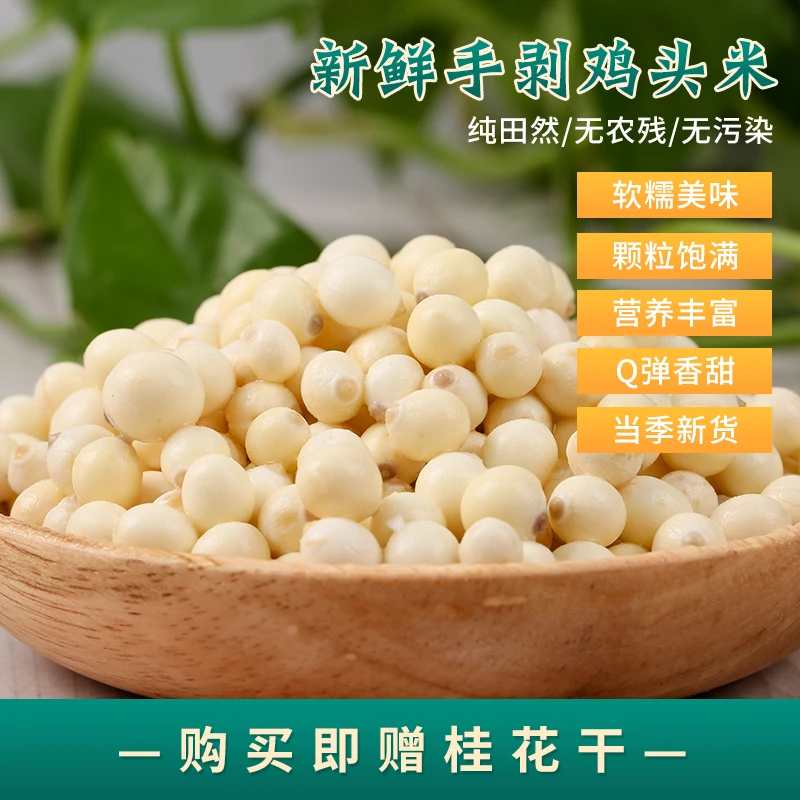 2024新货新鲜鸡头米剥壳非苏州手剥芡实米冷冻包邮200g装产地直发