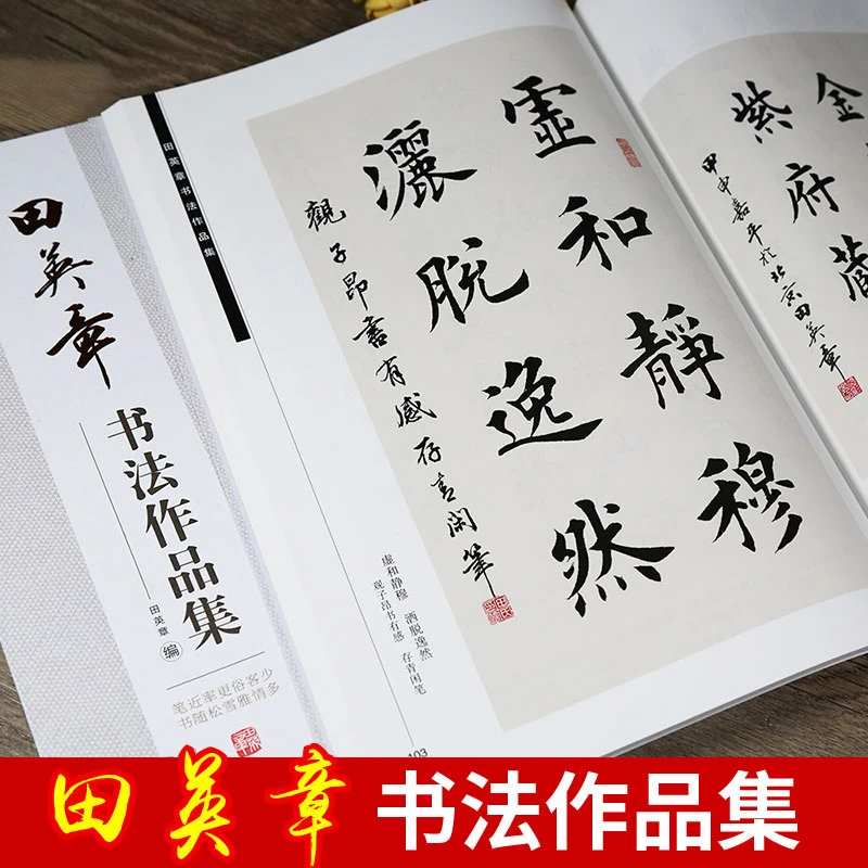 田英章书法作品集 毛笔楷书行书字帖 横幅条幅 斗方条屏对联扇面