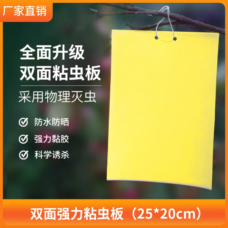 双面粘虫板(20*25cm)